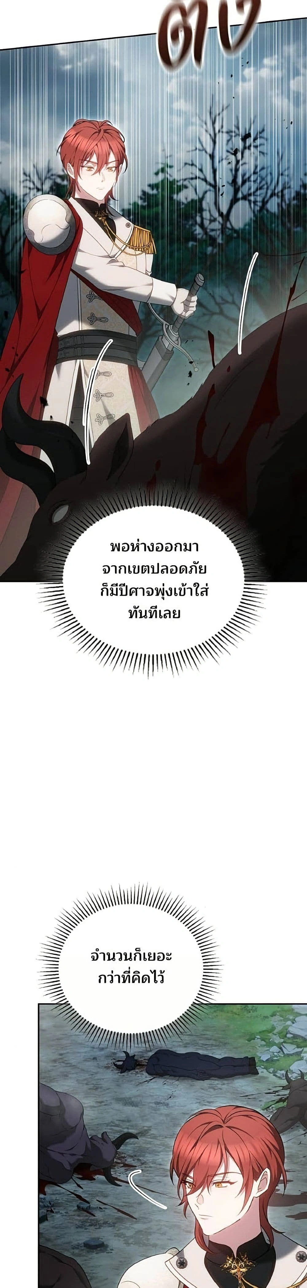 หน้าที่ 29