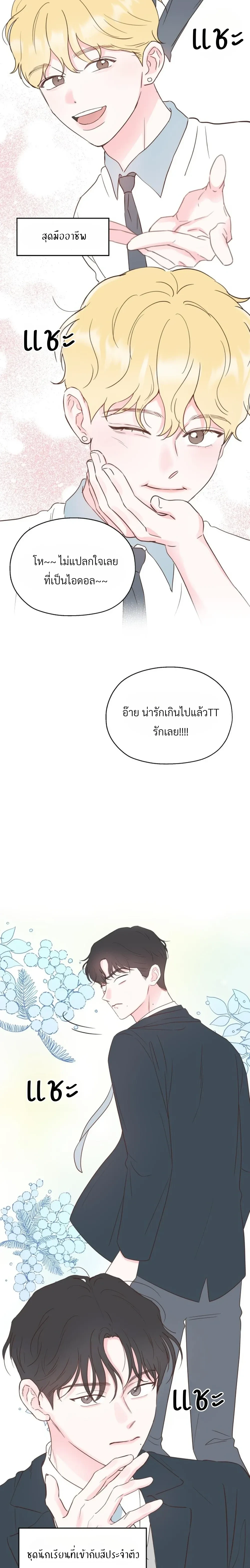 หน้าที่ 17