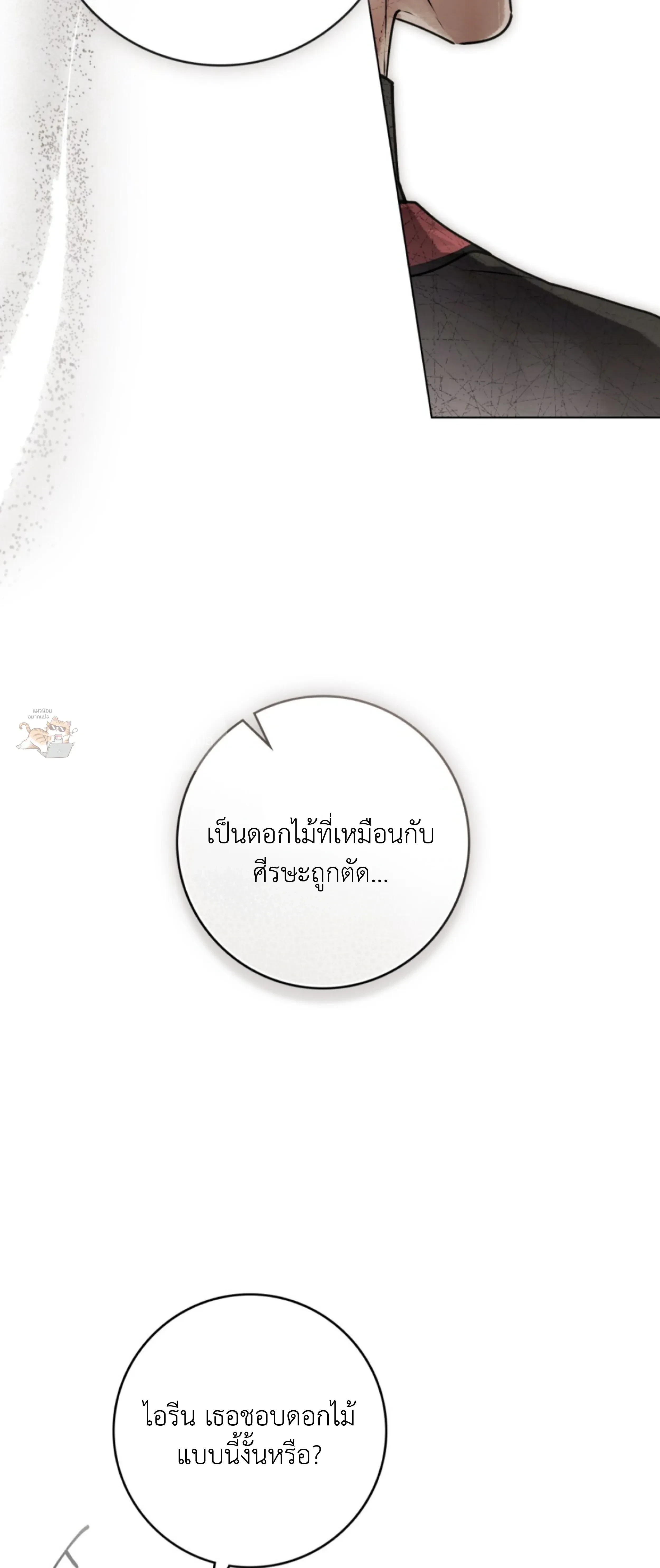 หน้าที่ 43