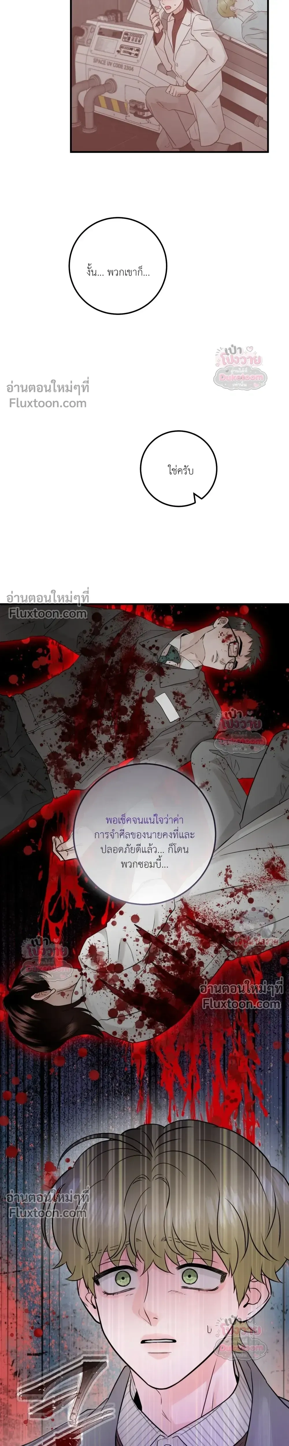 หน้าที่ 17
