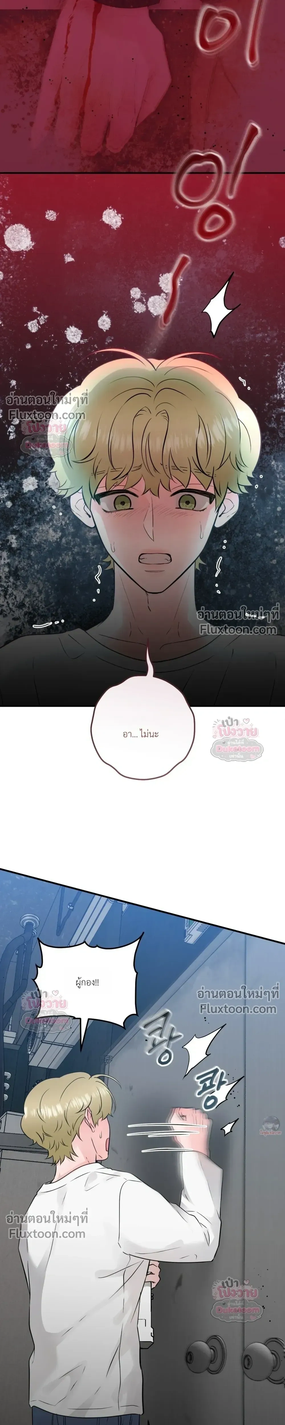 หน้าที่ 13