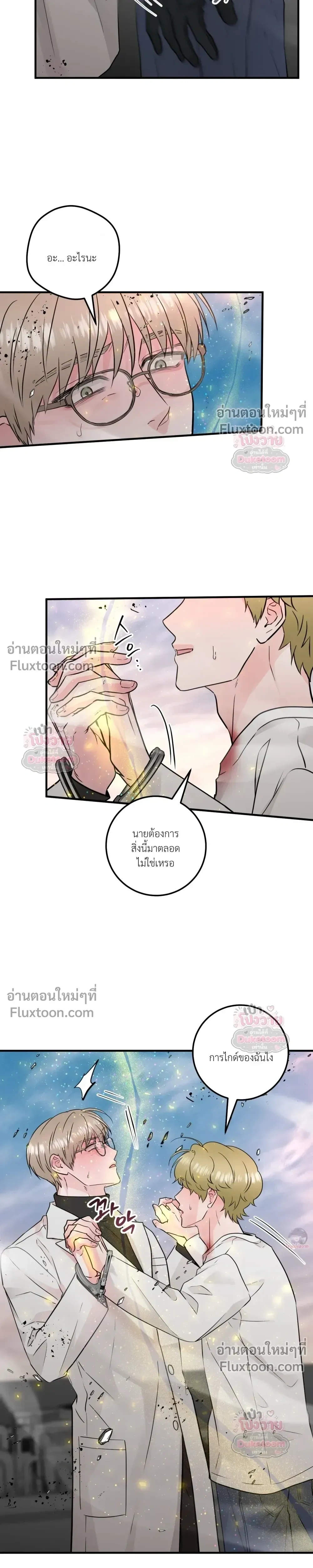 หน้าที่ 11
