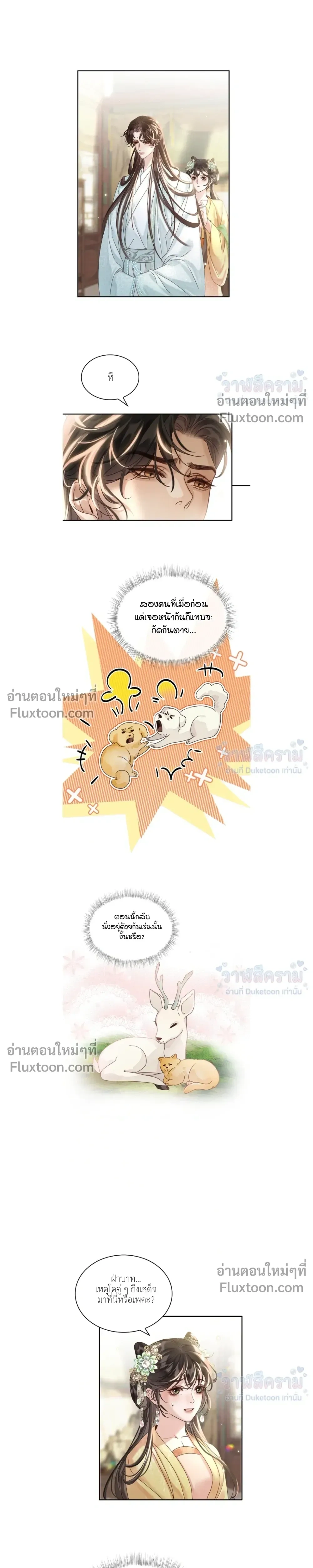 หน้าที่ 11