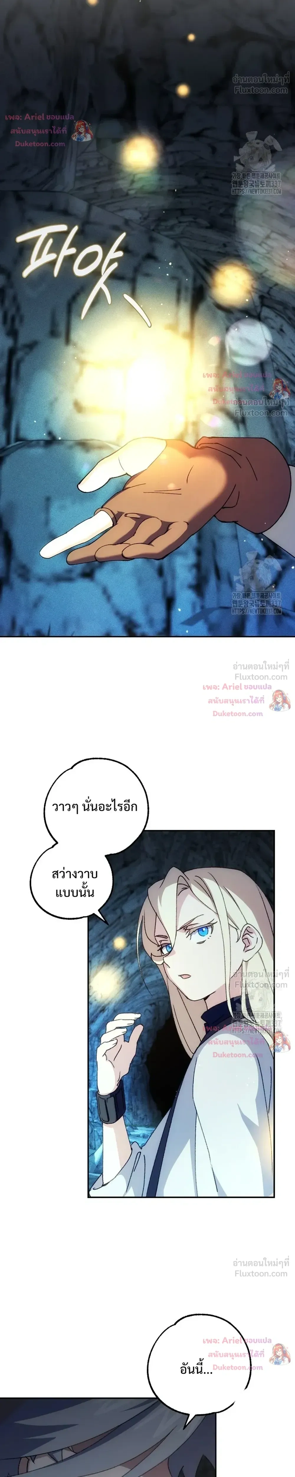 หน้าที่ 24