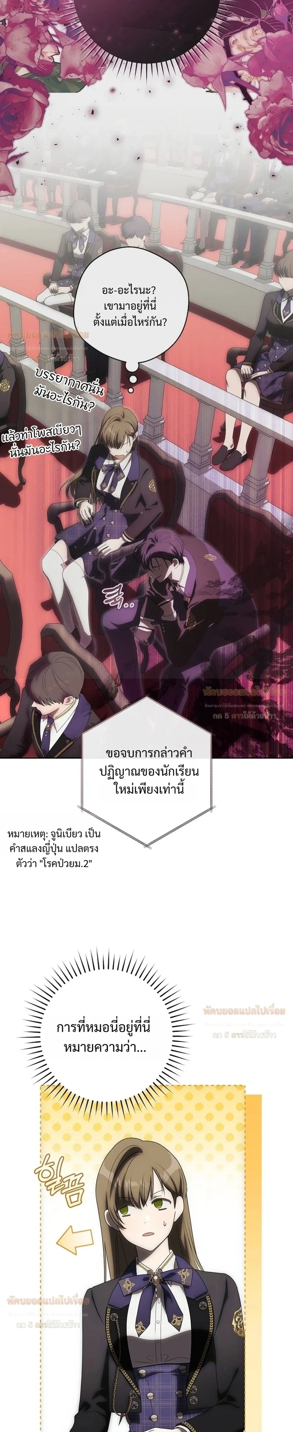 หน้าที่ 17