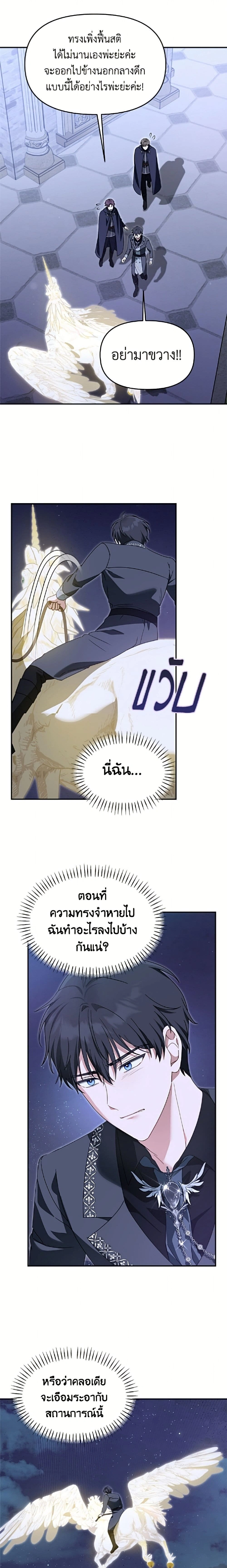 หน้าที่ 13