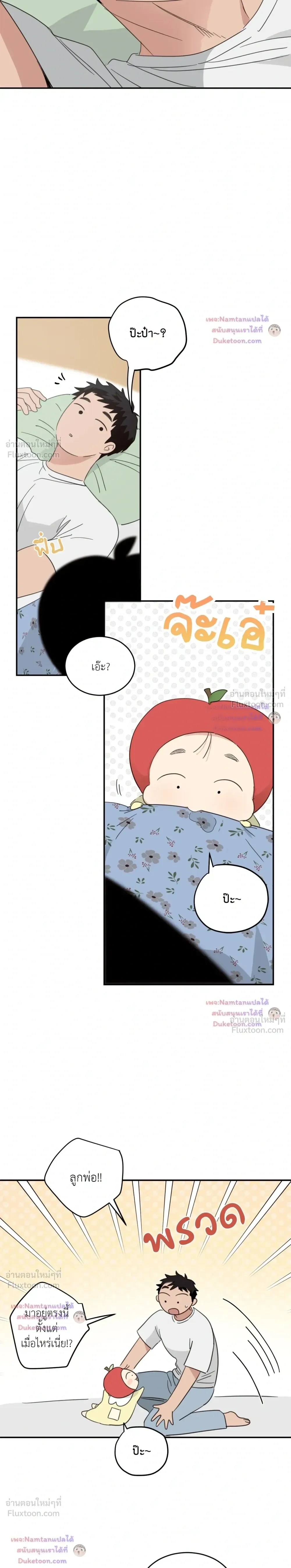 หน้าที่ 17