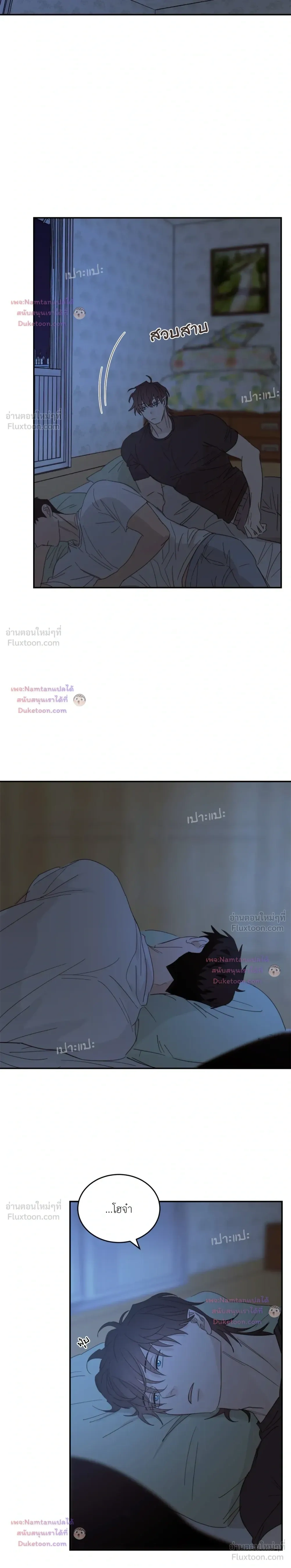 หน้าที่ 13