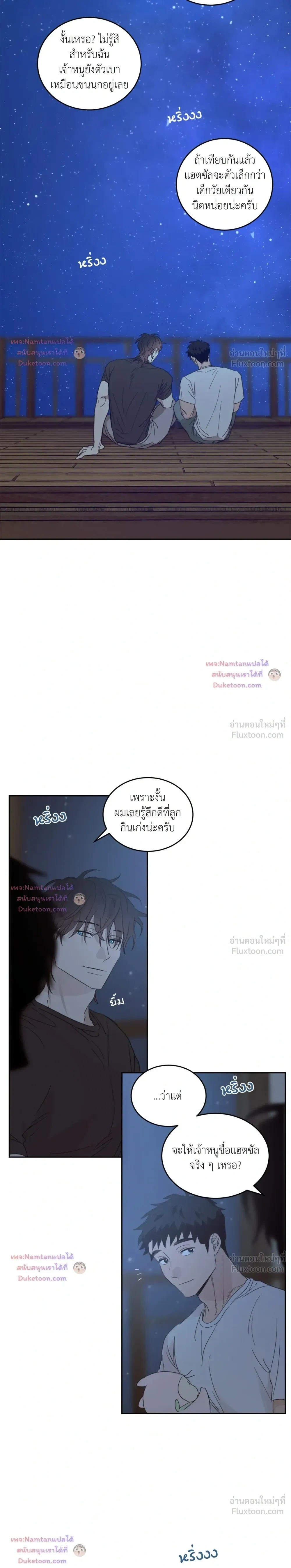 หน้าที่ 13