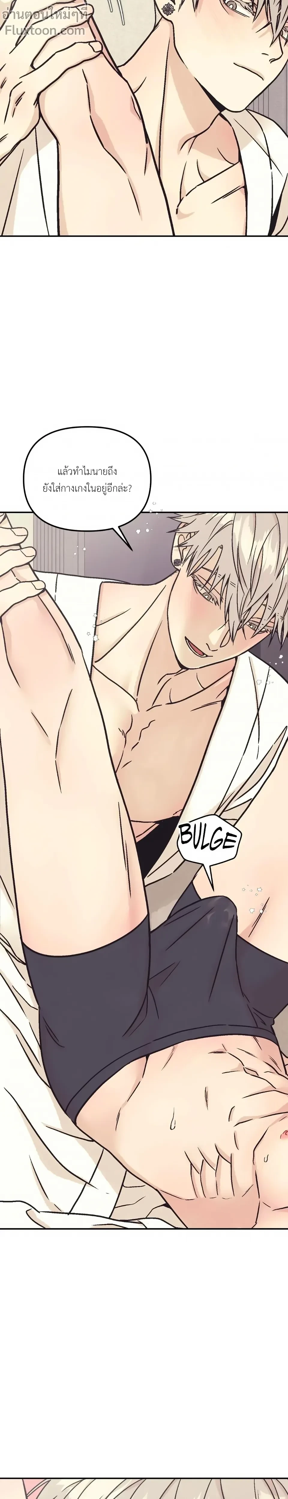 หน้าที่ 13