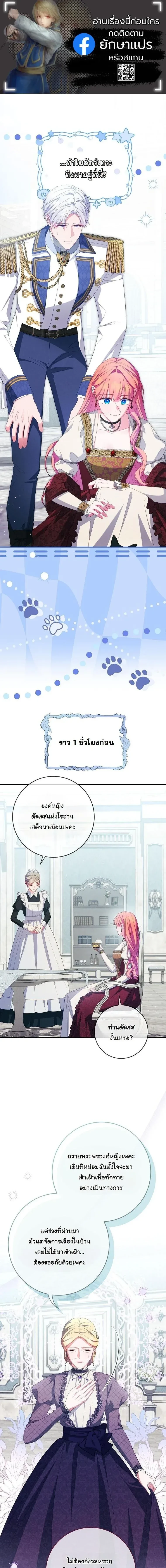 หน้าที่ 1