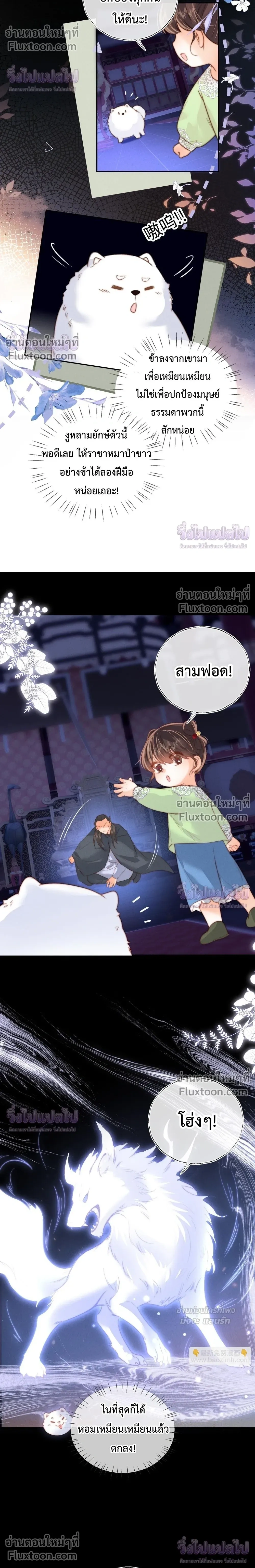 หน้าที่ 8
