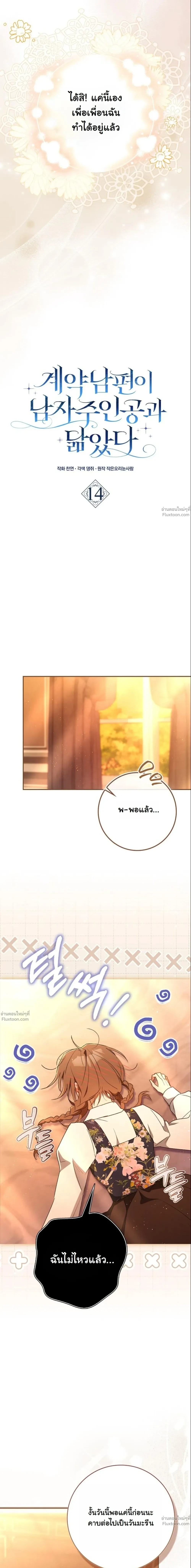 หน้าที่ 17