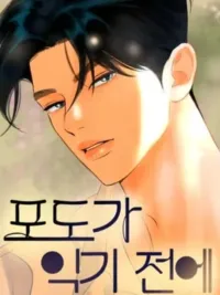 Before the grapes ripen - ก่อนที่องุ่นจะสุกงอม ปกมังงะ Before the grapes ripen - ก่อนที่องุ่นจะสุกงอม