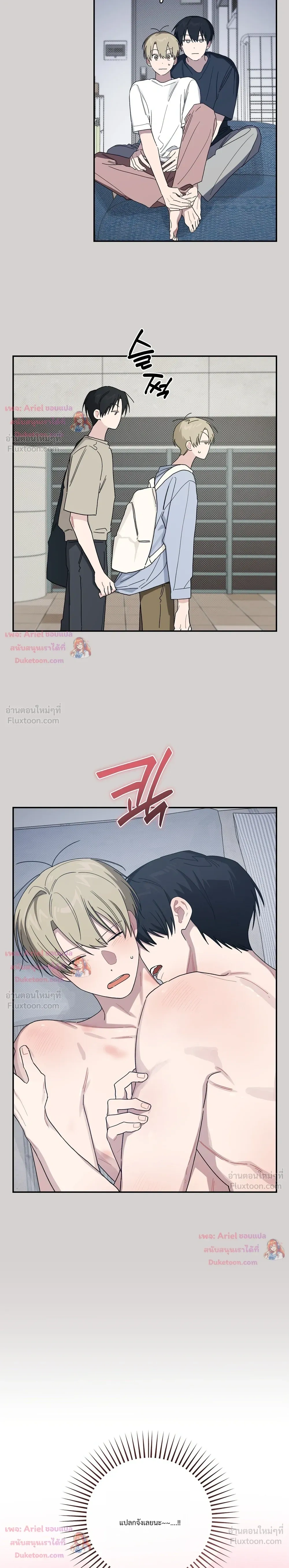 หน้าที่ 17