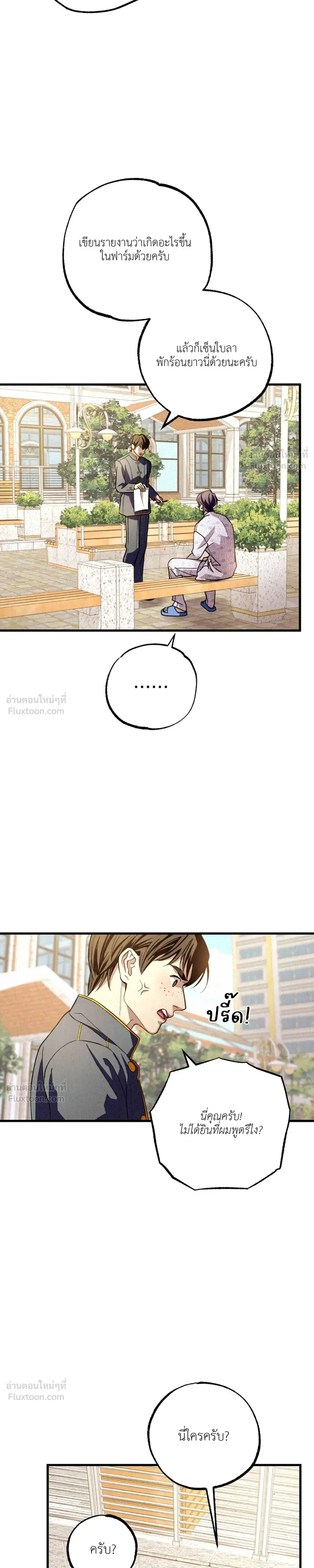 หน้าที่ 31
