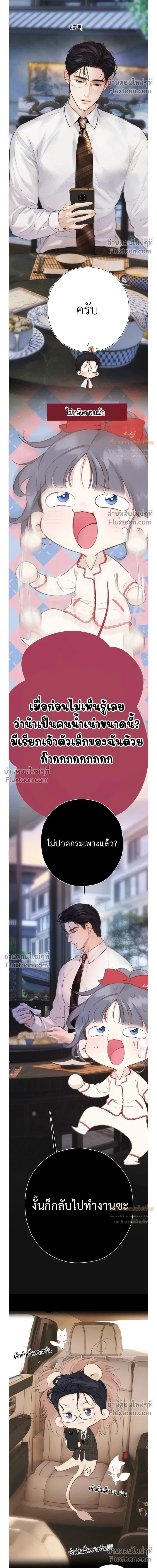 หน้าที่ 5
