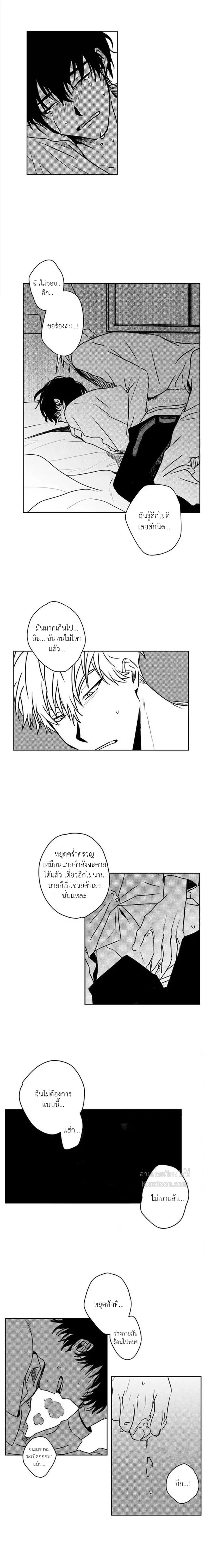 หน้าที่ 8