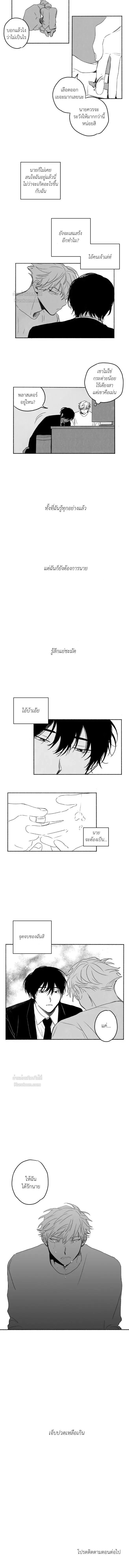 หน้าที่ 11