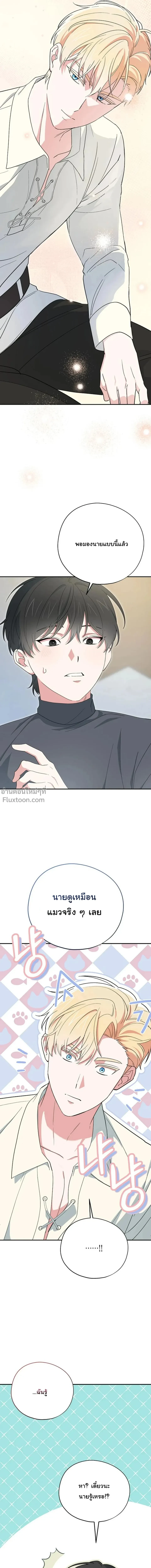 หน้าที่ 30