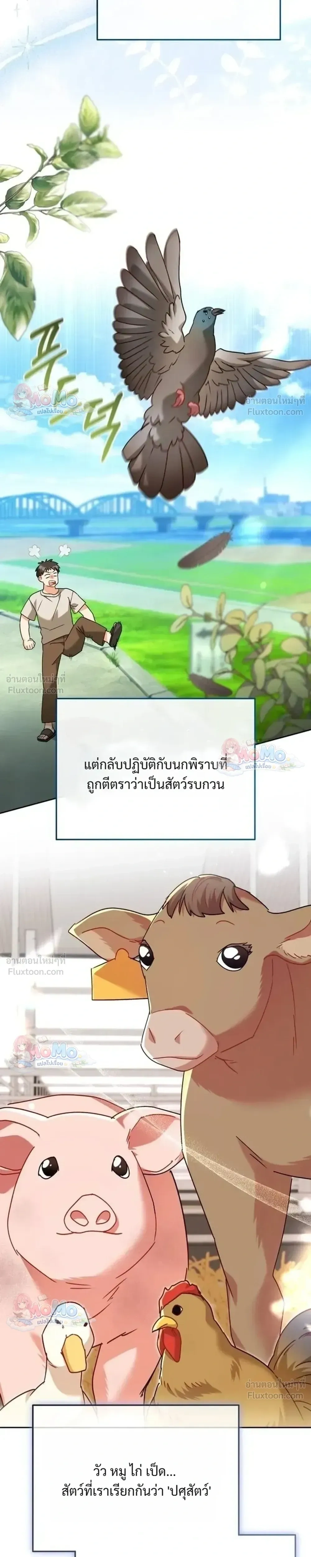 หน้าที่ 15