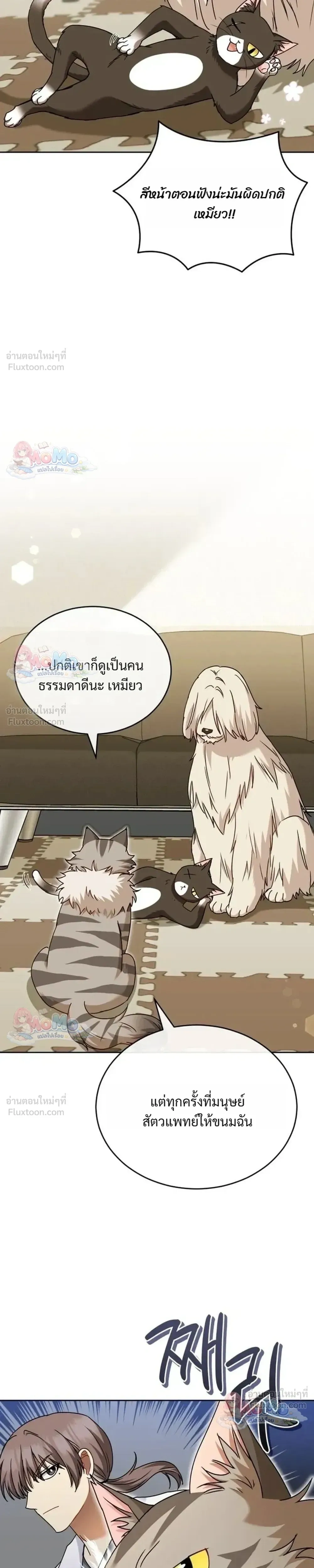 หน้าที่ 29
