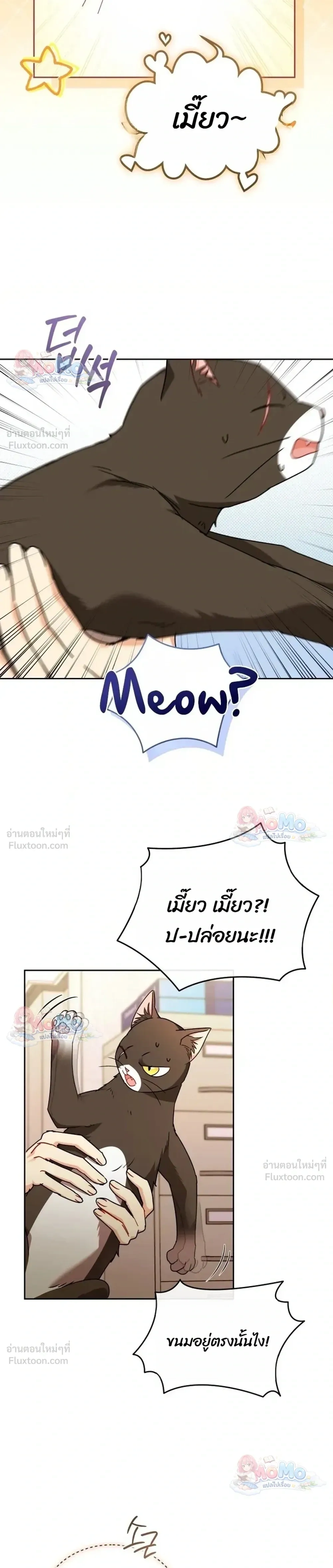 หน้าที่ 31