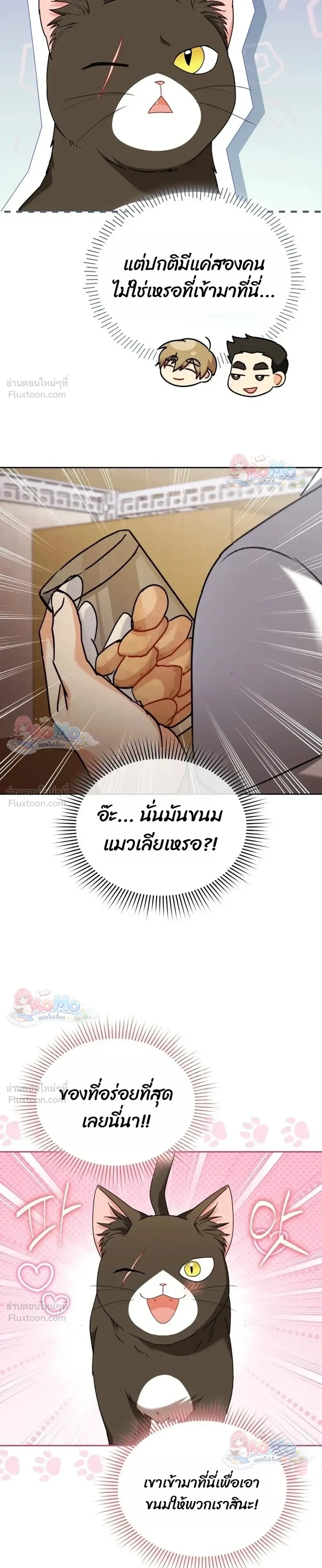 หน้าที่ 29