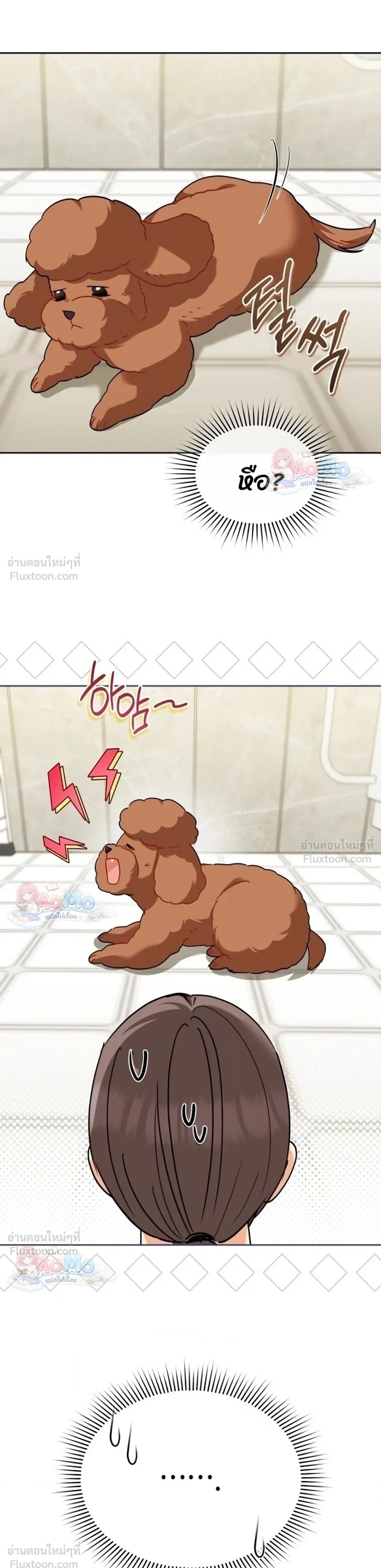 หน้าที่ 16