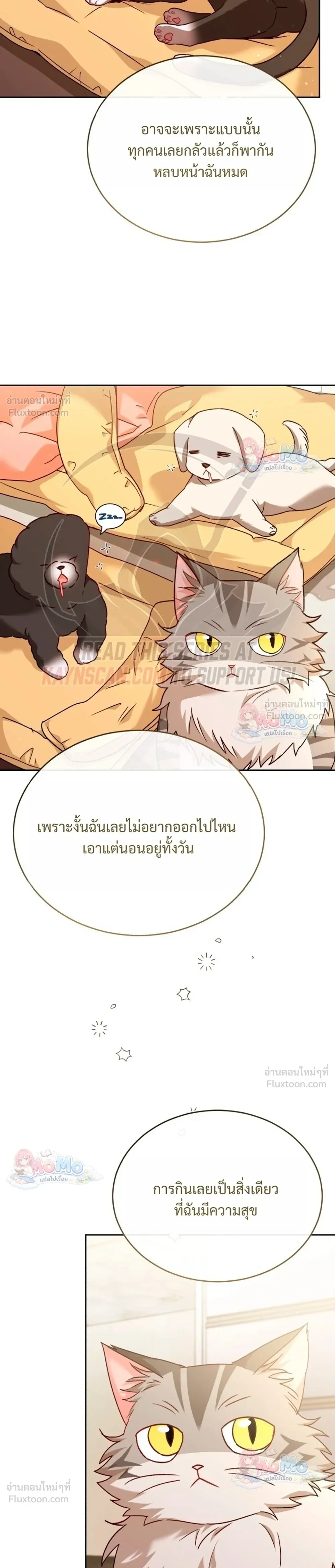 หน้าที่ 29