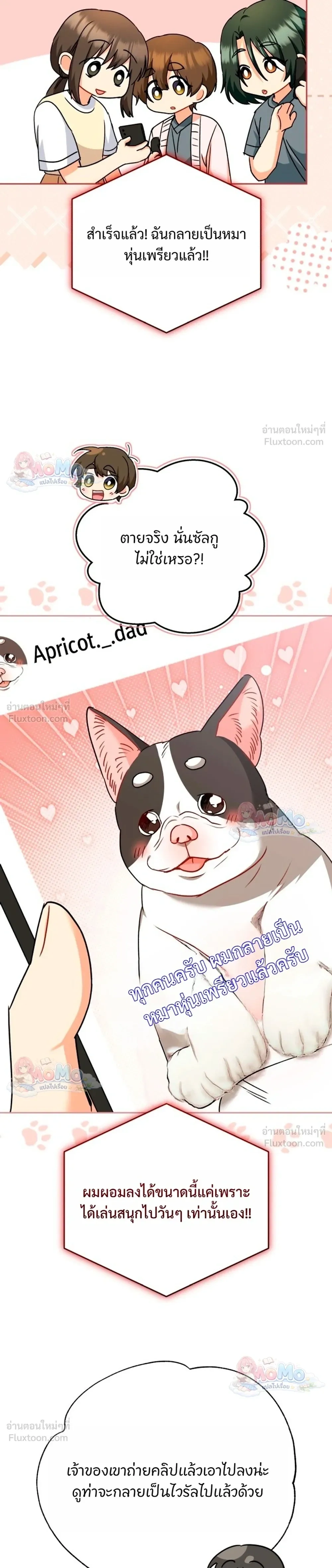 หน้าที่ 37