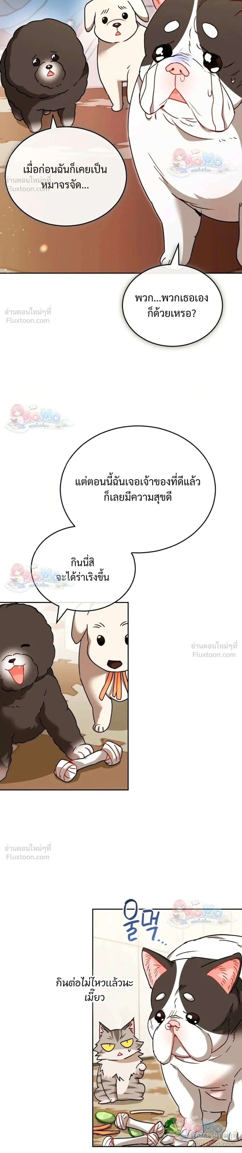 หน้าที่ 20