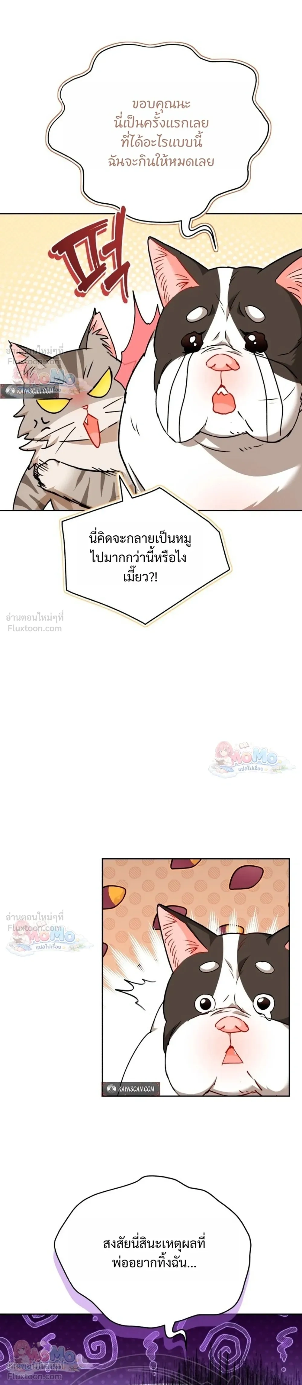 หน้าที่ 21