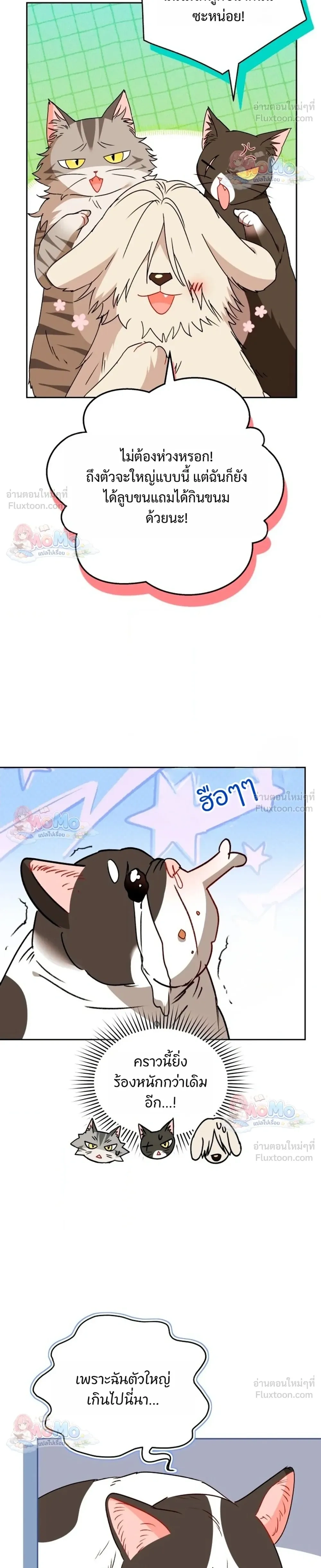 หน้าที่ 16