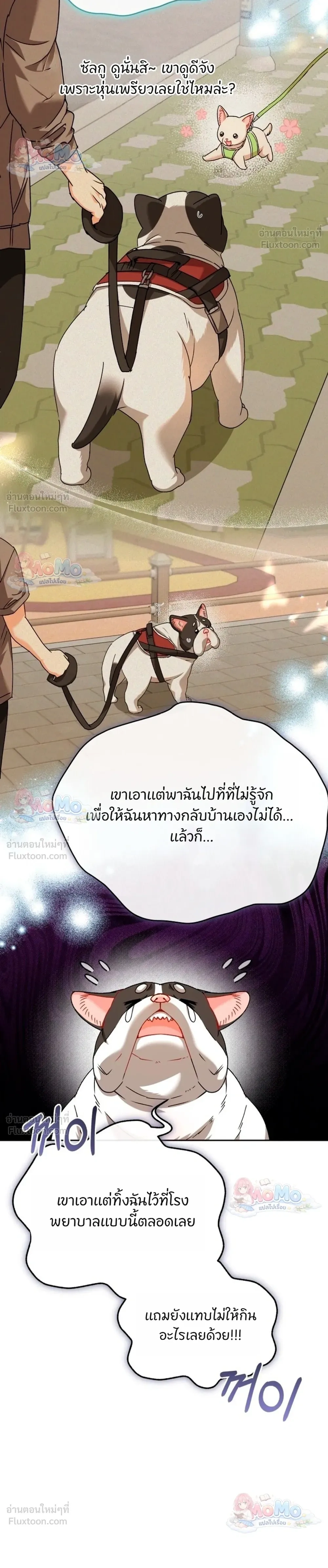 หน้าที่ 18
