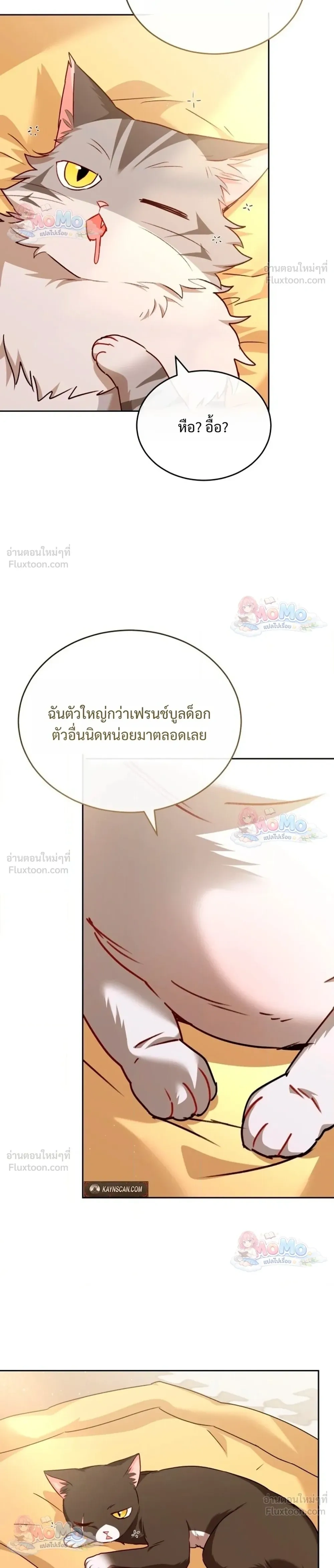 หน้าที่ 28