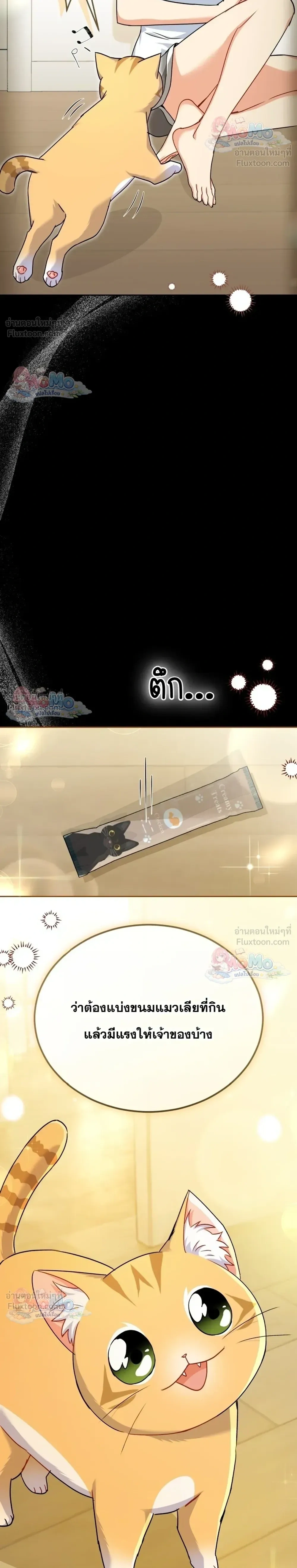 หน้าที่ 28
