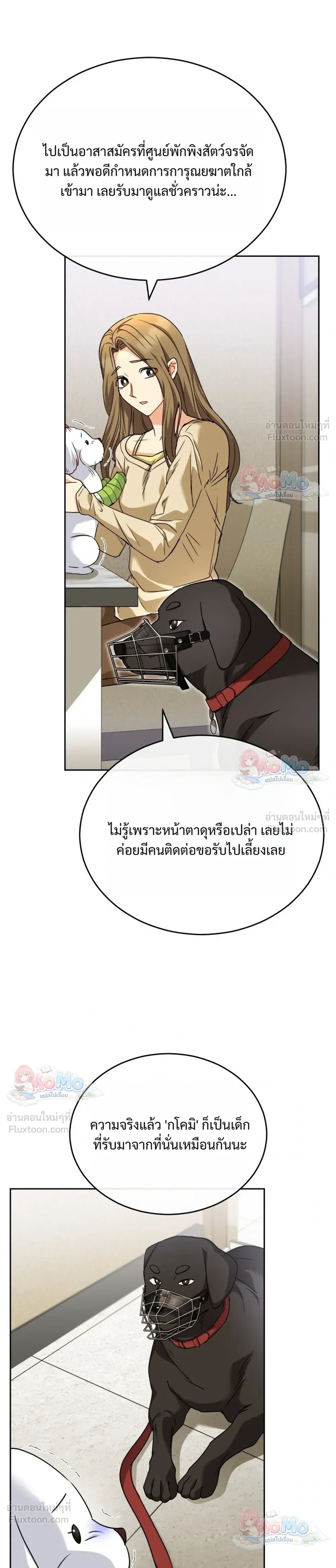 หน้าที่ 17