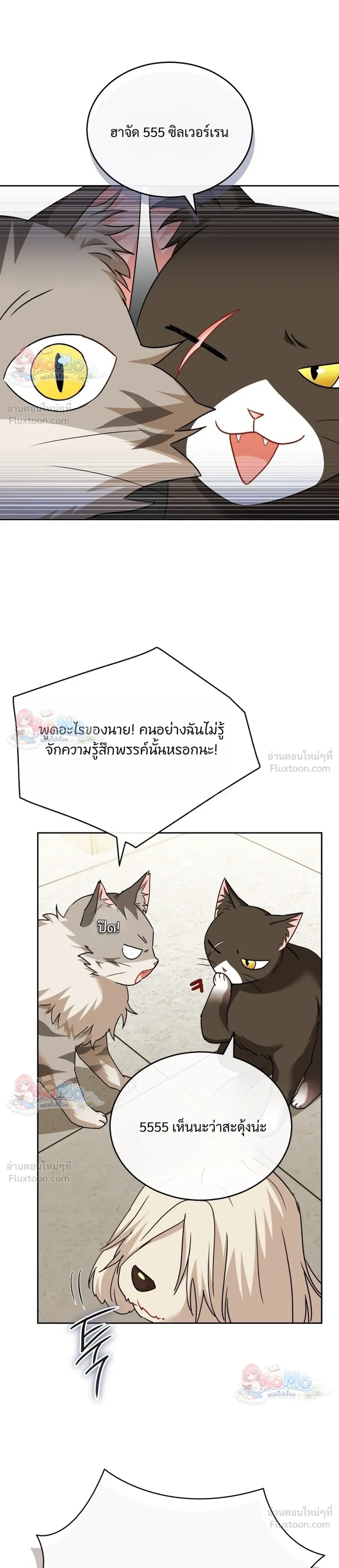 หน้าที่ 31