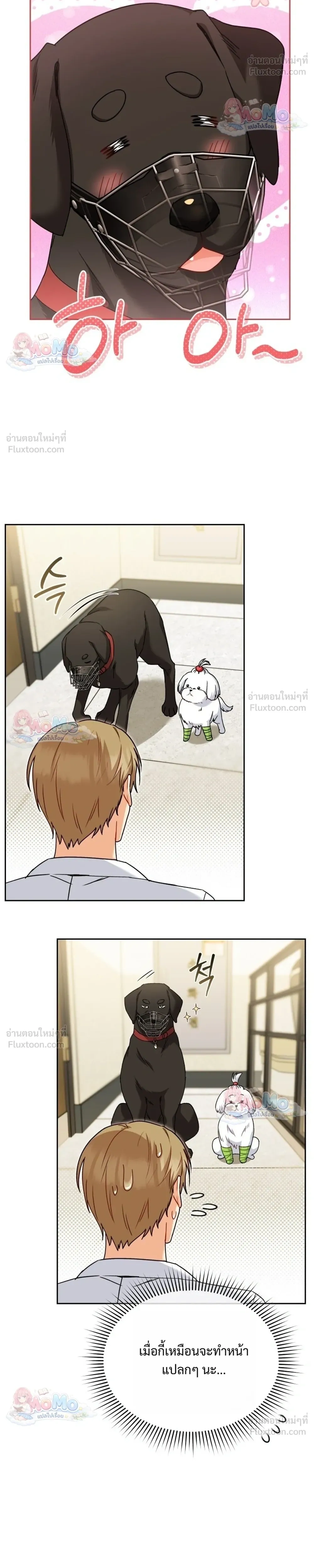หน้าที่ 4