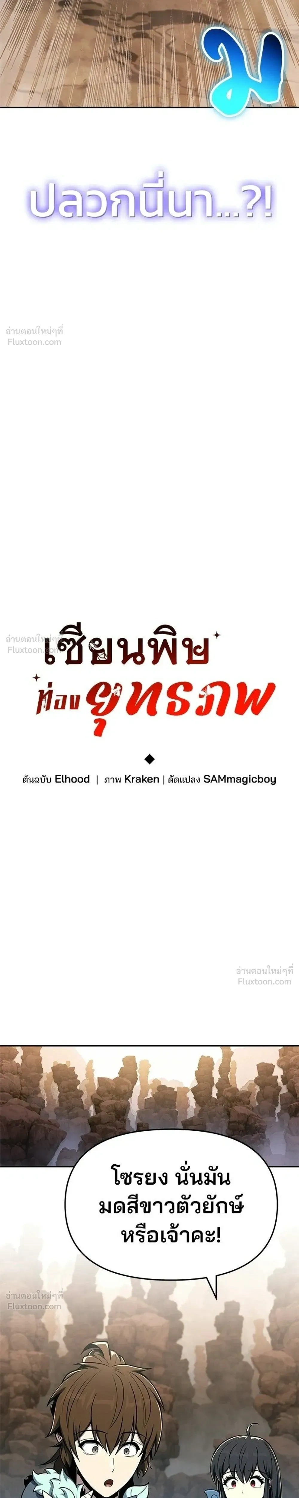 หน้าที่ 13