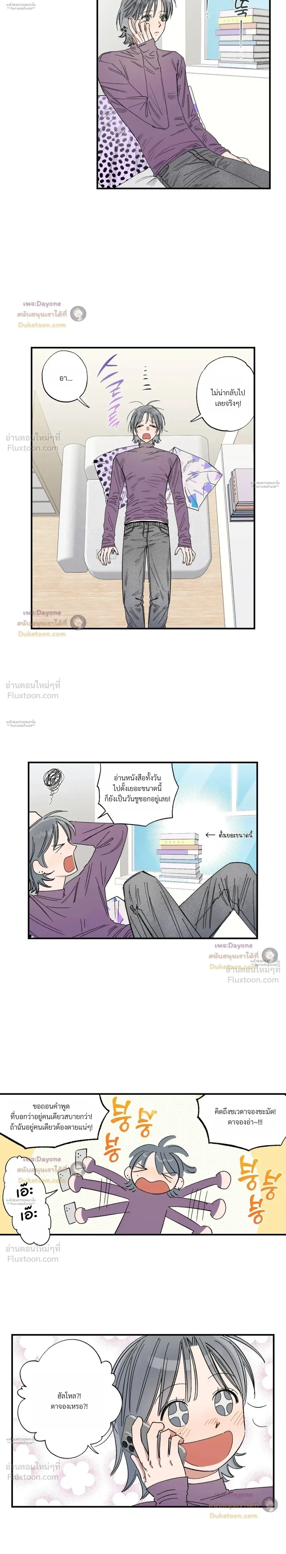 หน้าที่ 13