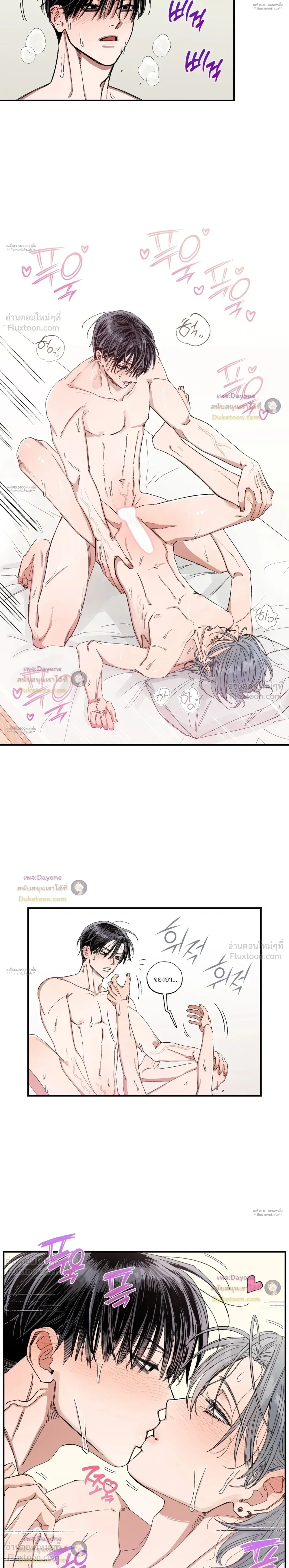 หน้าที่ 13