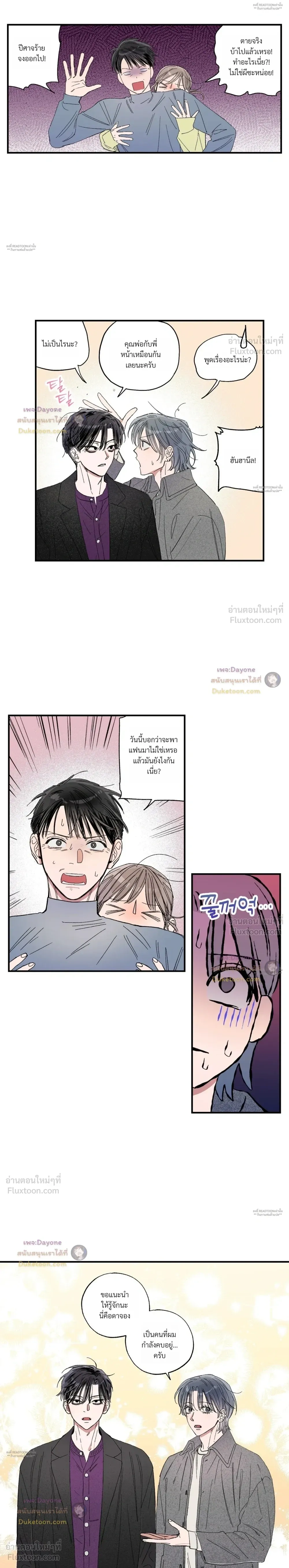 หน้าที่ 13