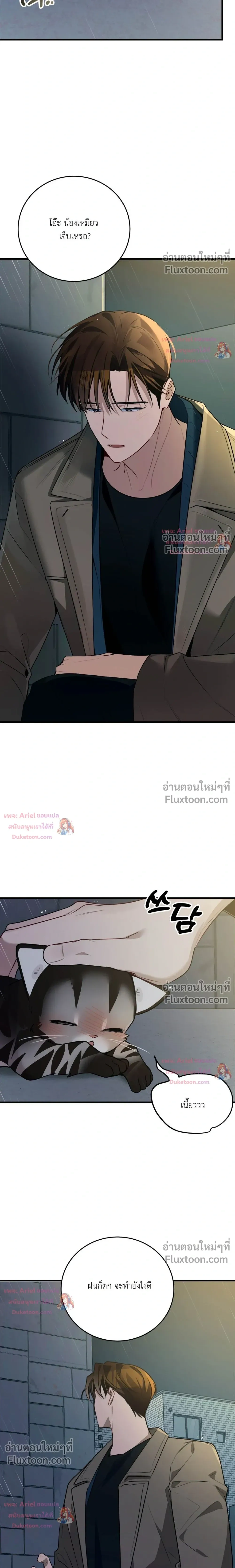หน้าที่ 44