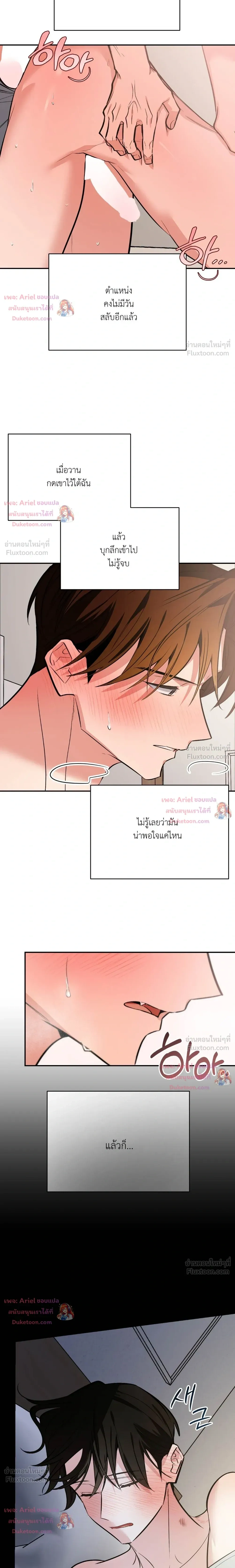 หน้าที่ 13