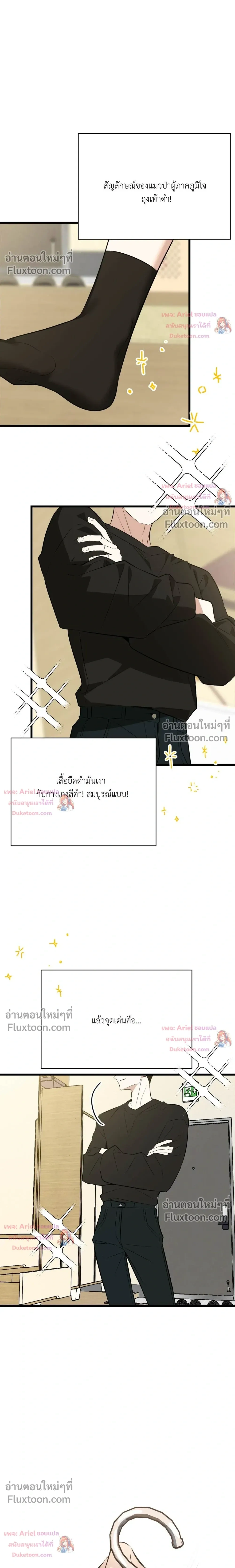 หน้าที่ 29