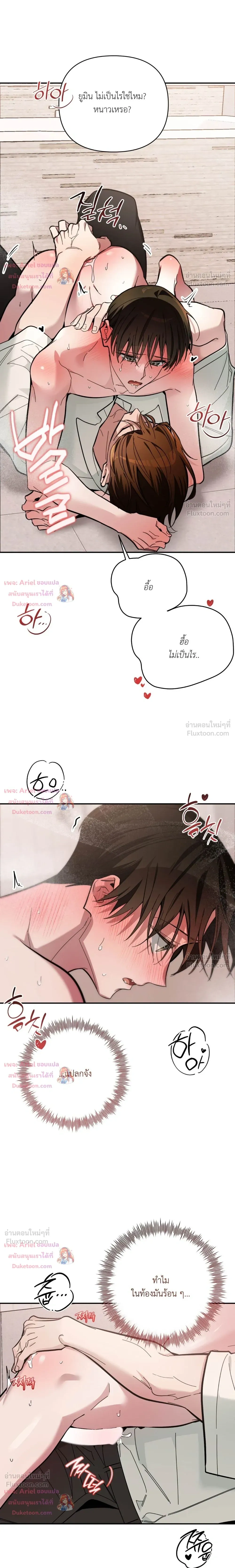 หน้าที่ 13