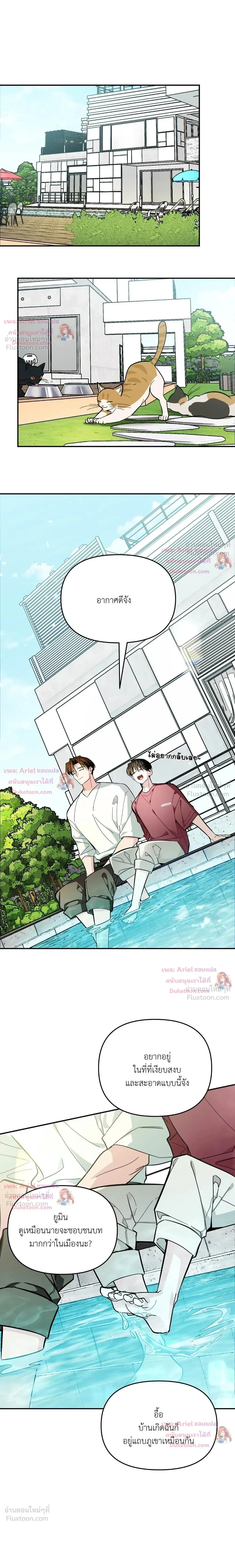 หน้าที่ 26