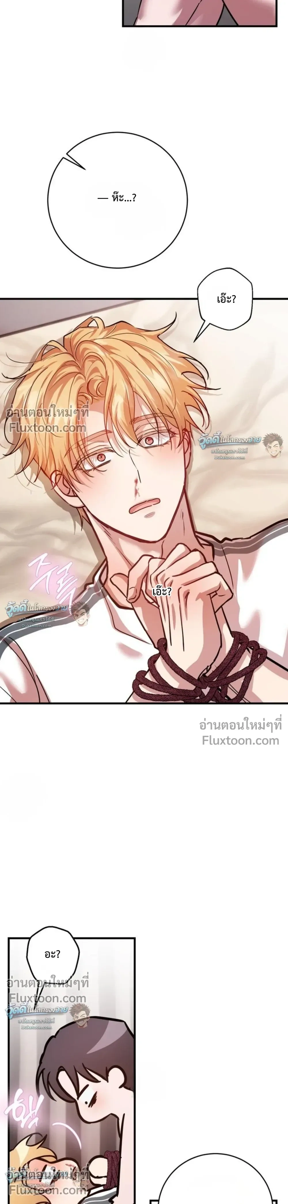 หน้าที่ 15